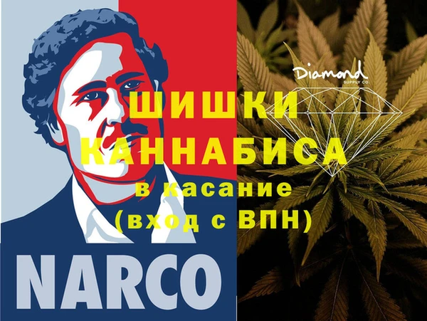 прущие грибы Вязьма
