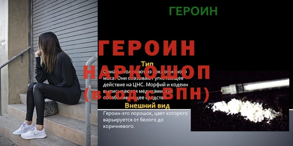 прущие грибы Вязьма