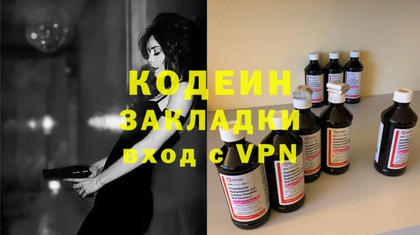 спиды Вяземский