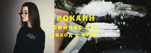 прущие грибы Вязьма