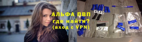 спиды Вяземский