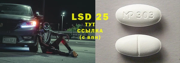 прущие грибы Вязьма