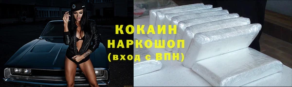 спиды Вяземский