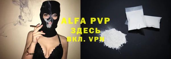 спиды Вяземский