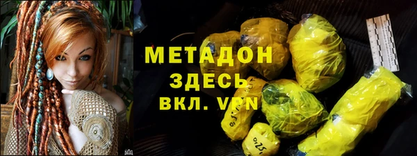 прущие грибы Вязьма