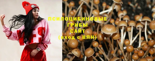 спиды Вяземский