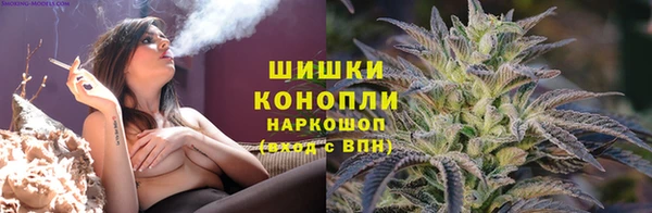 бошки Володарск