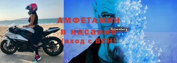прущие грибы Вязьма