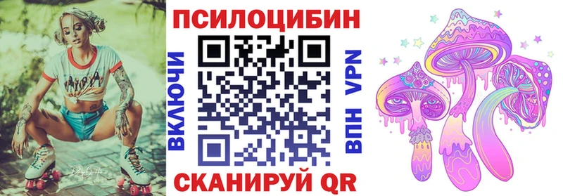 shop наркотические препараты Енисейск Псилоцибиновые грибы мицелий